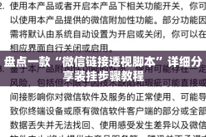 盘点一款“微信链接透视脚本”详细分享装挂步骤教程