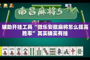 辅助开挂工具“微乐安徽麻将怎么提高胜率”其实确实有挂