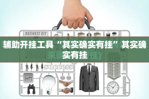 辅助开挂工具“其实确实有挂”其实确实有挂