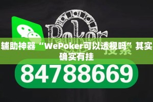 辅助神器“WePoker可以透视吗”其实确实有挂