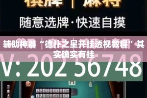 辅助神器“德扑之星开挂透视教程”其实确实有挂