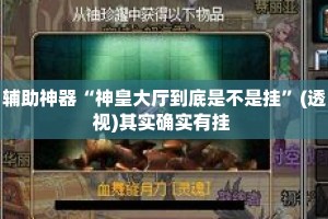 辅助神器“神皇大厅到底是不是挂”(透视)其实确实有挂 