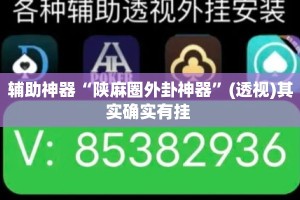 辅助神器“陕麻圈外卦神器”(透视)其实确实有挂 