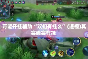 万能开挂辅助“双扣有挂么”(透视)其实确实有挂 
