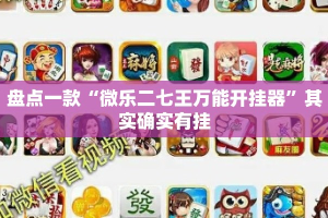 盘点一款“微乐二七王万能开挂器”其实确实有挂
