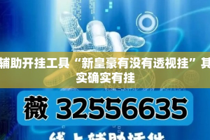 辅助开挂工具“新皇豪有没有透视挂”其实确实有挂