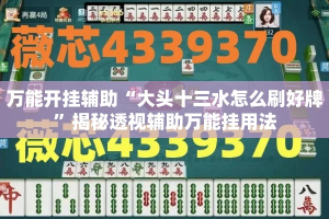 万能开挂辅助“大头十三水怎么刷好牌”揭秘透视辅助万能挂用法