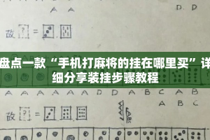 盘点一款“手机打麻将的挂在哪里买”详细分享装挂步骤教程