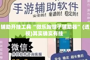 辅助开挂工具“微乐跑胡子辅助器”(透视)其实确实有挂 