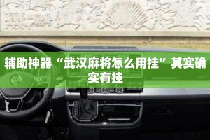 辅助神器“武汉麻将怎么用挂”其实确实有挂