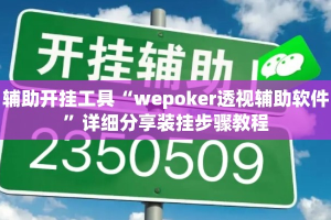 辅助开挂工具“wepoker透视辅助软件”详细分享装挂步骤教程