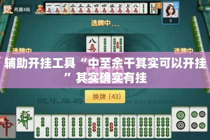 辅助开挂工具“中至余干其实可以开挂”其实确实有挂