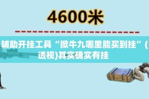 辅助开挂工具“掀牛九哪里能买到挂”(透视)其实确实有挂 
