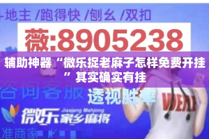 辅助神器“微乐捉老麻子怎样免费开挂”其实确实有挂