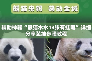 辅助神器“熊猫水水13张有挂嘛”详细分享装挂步骤教程