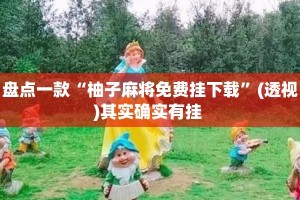 盘点一款“柚子麻将免费挂下载”(透视)其实确实有挂 