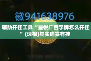 辅助开挂工具“星悦广西字牌怎么开挂”(透视)其实确实有挂 