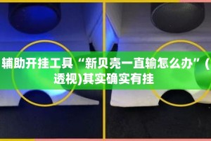 辅助开挂工具“新贝壳一直输怎么办”(透视)其实确实有挂 