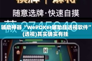 辅助神器“WePOKer辅助挂透视软件”(透视)其实确实有挂 