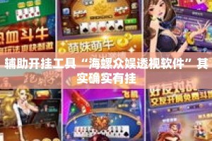 辅助开挂工具“海螺众娱透视软件”其实确实有挂