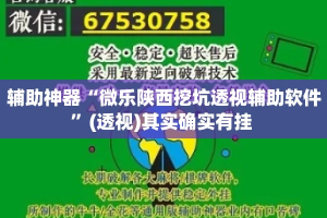 辅助神器“微乐陕西挖坑透视辅助软件”(透视)其实确实有挂 