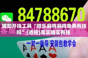 辅助开挂工具“微乐麻将麻将免费有挂吗”(透视)其实确实有挂 