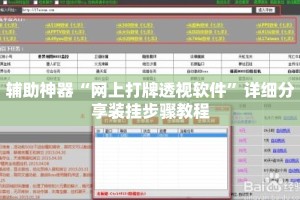 辅助神器“网上打牌透视软件”详细分享装挂步骤教程