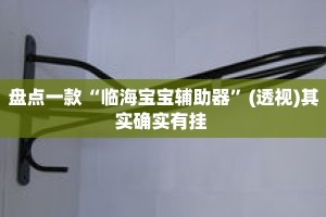 盘点一款“临海宝宝辅助器”(透视)其实确实有挂 