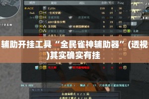 辅助开挂工具“全民雀神辅助器”(透视)其实确实有挂 