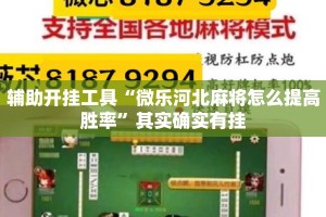 辅助开挂工具“微乐河北麻将怎么提高胜率”其实确实有挂