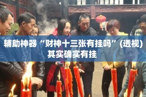辅助神器“财神十三张有挂吗”(透视)其实确实有挂 
