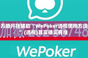 万能开挂辅助“WePoker透视使用方法”(透视)其实确实有挂 
