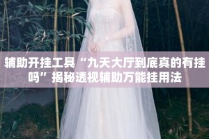 辅助开挂工具“九天大厅到底真的有挂吗”揭秘透视辅助万能挂用法