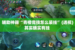 辅助神器“青橙竞技怎么装挂”(透视)其实确实有挂 