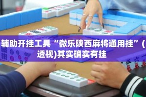 辅助开挂工具“微乐陕西麻将通用挂”(透视)其实确实有挂 