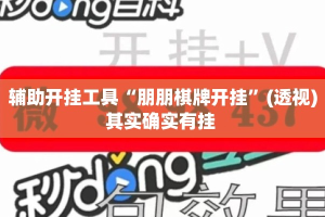 辅助开挂工具“朋朋棋牌开挂”(透视)其实确实有挂 