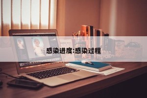 感染进度:感染过程