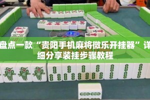 盘点一款“贵阳手机麻将微乐开挂器”详细分享装挂步骤教程