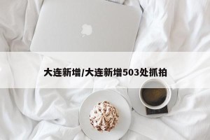 大连新增/大连新增503处抓拍