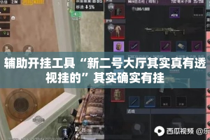 辅助开挂工具“新二号大厅其实真有透视挂的”其实确实有挂