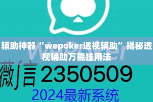 辅助神器“wepoker透视辅助”揭秘透视辅助万能挂用法