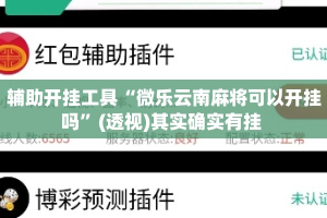 辅助开挂工具“微乐云南麻将可以开挂吗”(透视)其实确实有挂 