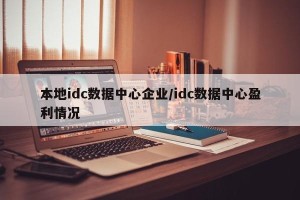 本地idc数据中心企业/idc数据中心盈利情况