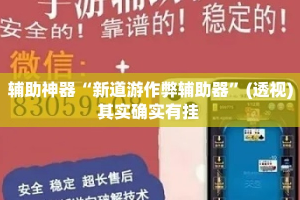 辅助神器“新道游作弊辅助器”(透视)其实确实有挂 
