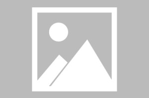 【2019高速免费,高速公路免费2019年具体时间】