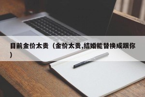 目前金价太贵（金价太贵,结婚能替换成跟你）