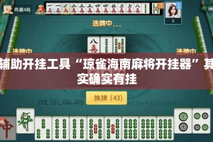 辅助开挂工具“琼雀海南麻将开挂器”其实确实有挂