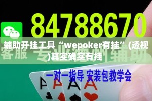 辅助开挂工具“wepoker有挂”(透视)其实确实有挂 