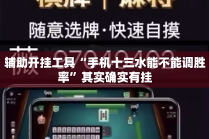 辅助开挂工具“手机十三水能不能调胜率”其实确实有挂