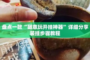 盘点一款“随意玩开挂神器”详细分享装挂步骤教程